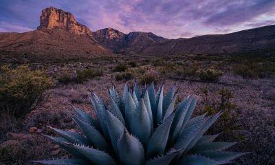 去公园走走吧！ | 瓜达卢佩山脉国家公园日出时的埃尔卡皮坦山，德克萨斯州，美国 (© Adam Mowery/Tandem Stills + Motion)